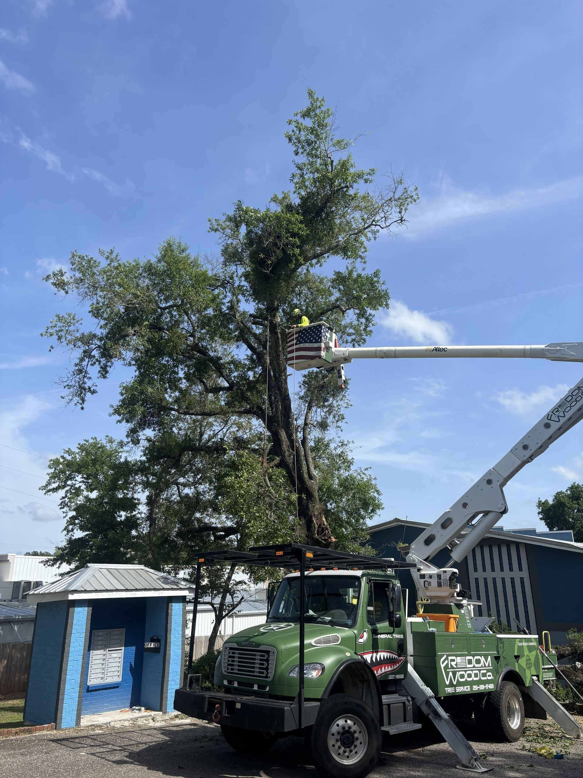 Tree service truck with a worker in a lift trimming a tall tree under a blue sky.
