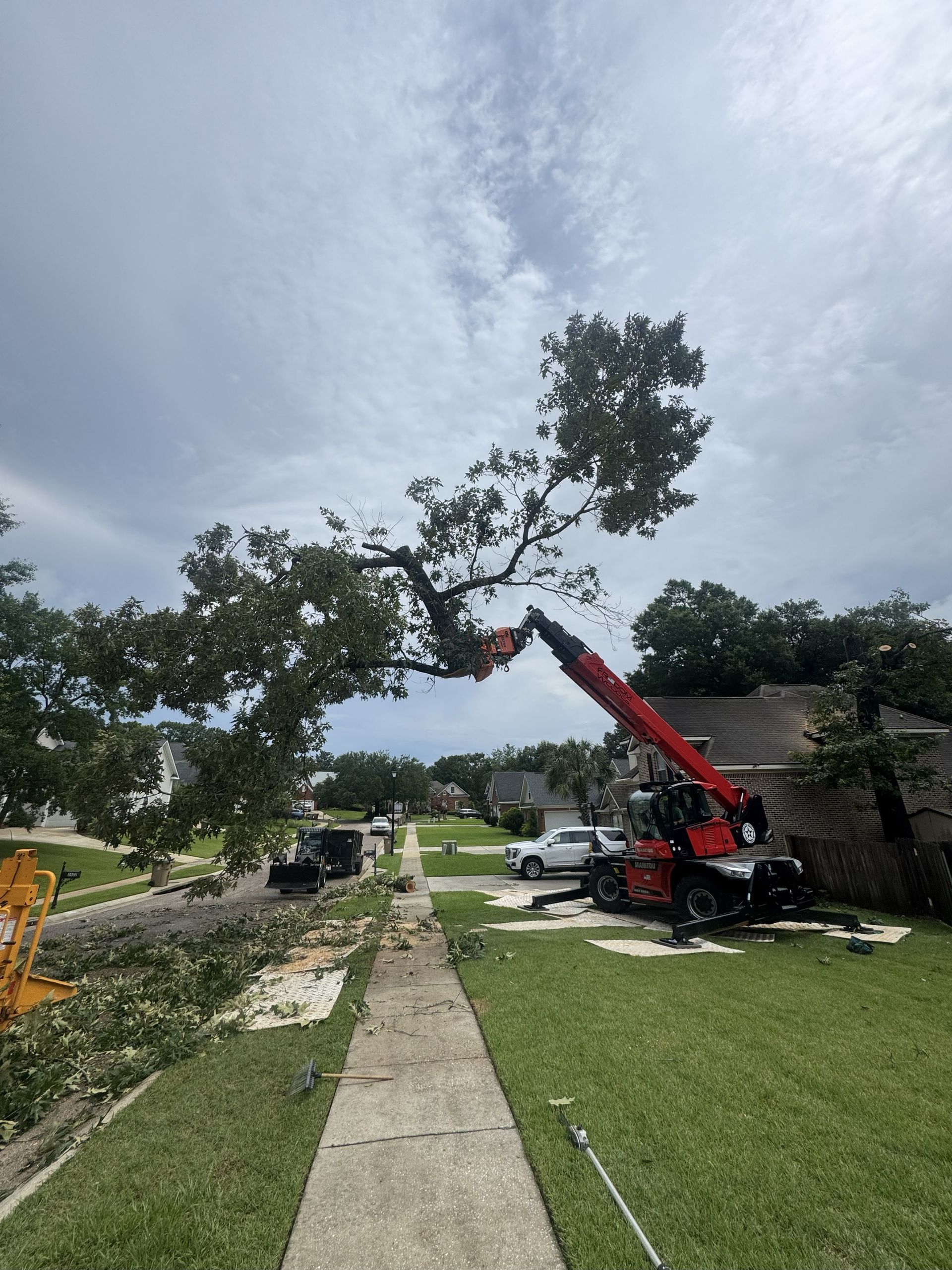 A tree being trimmed by a red crane in a residential neighborhood.