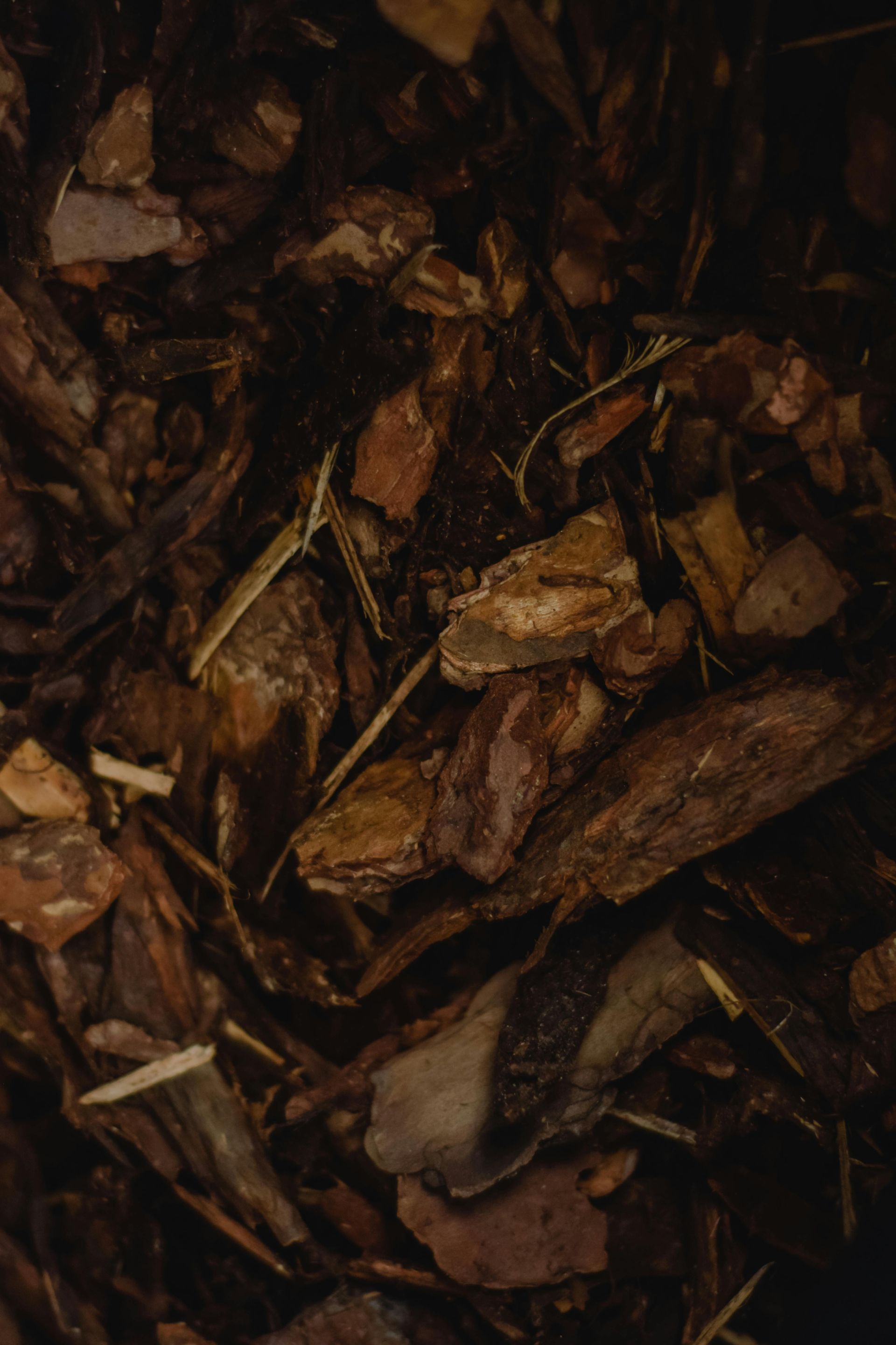 Brown wood chips and bark, close-up, earthy texture, varying shades.