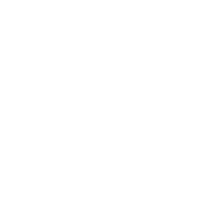 Aluminium doors icon