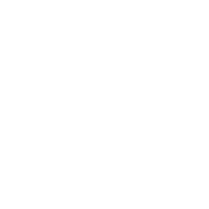 roof icon