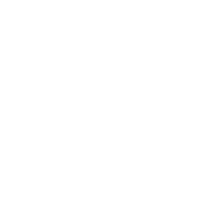 window icon