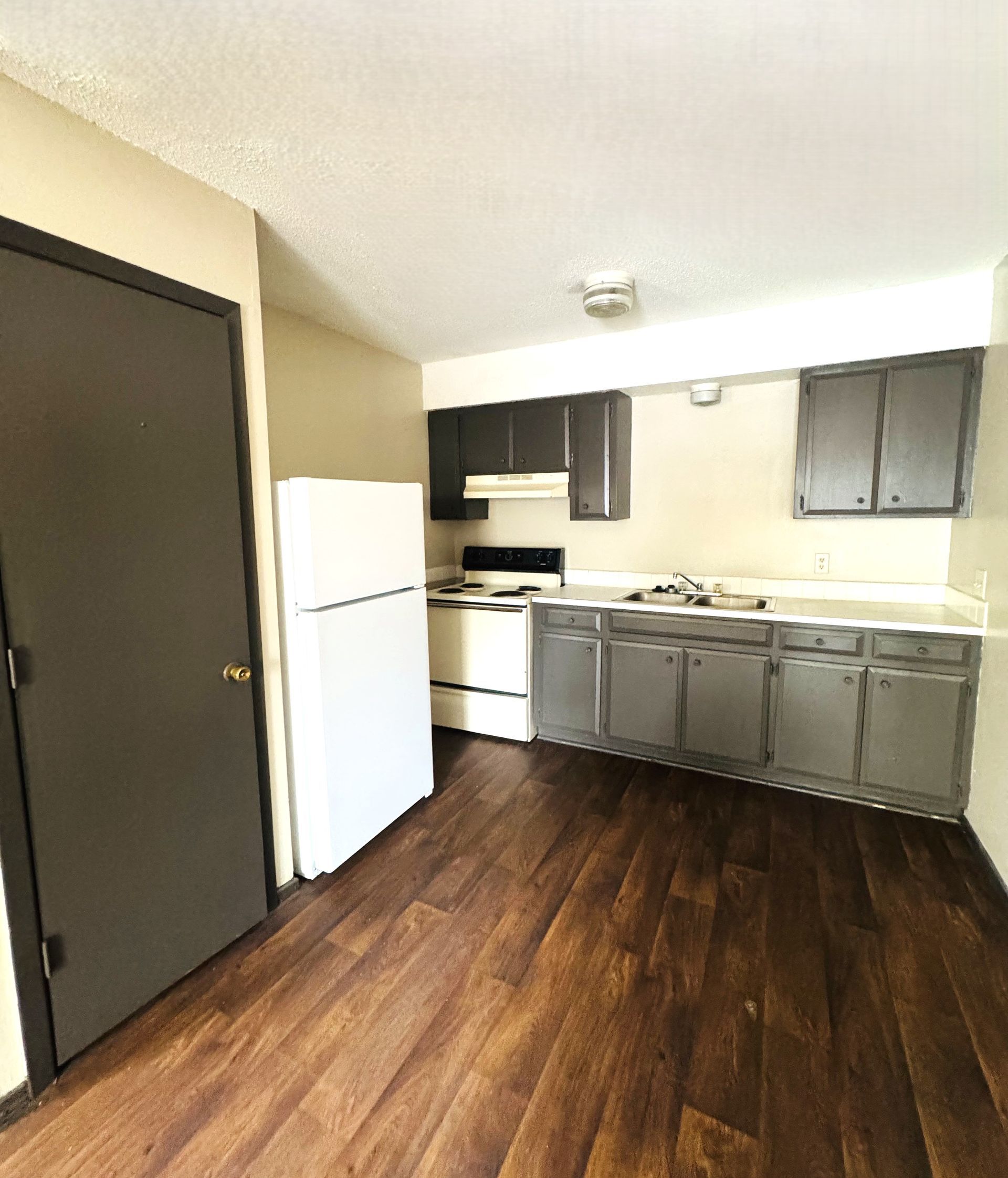 Kitchen with dark cabinets, white refrigerator, dark wood-look flooring, and a dark door.
