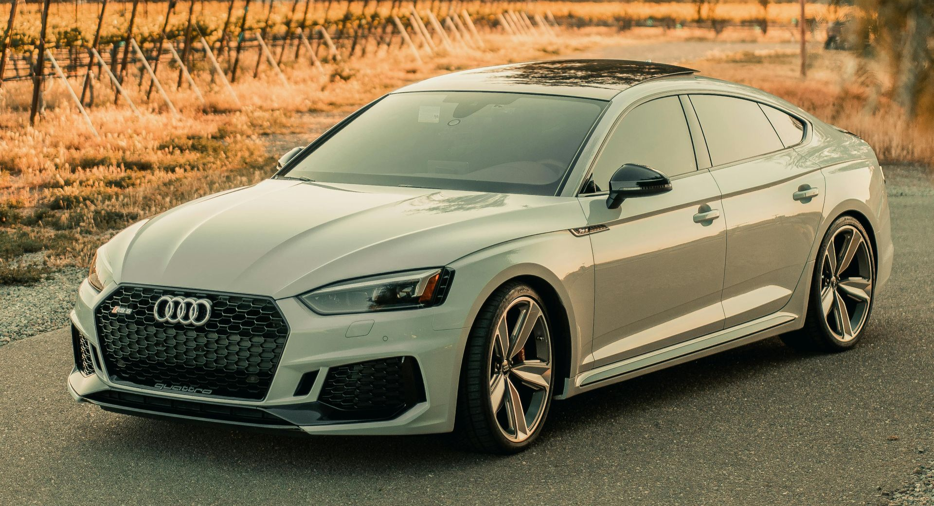 car interior overheating under direct sunlight