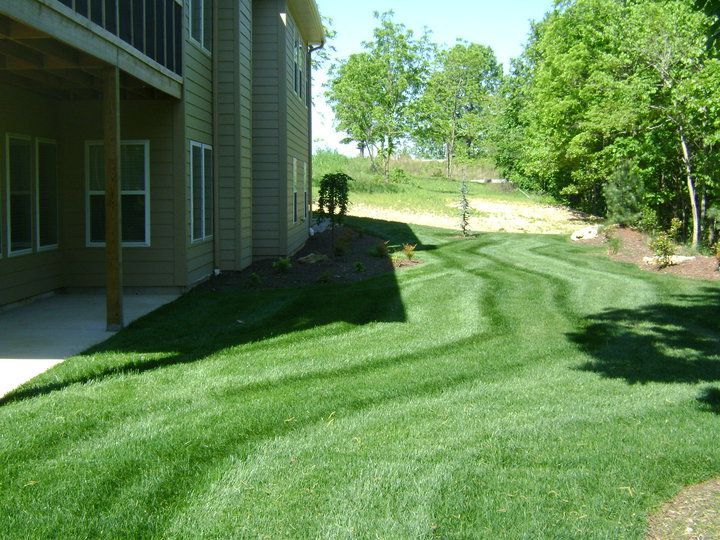 A house with a lush green lawn in front of it