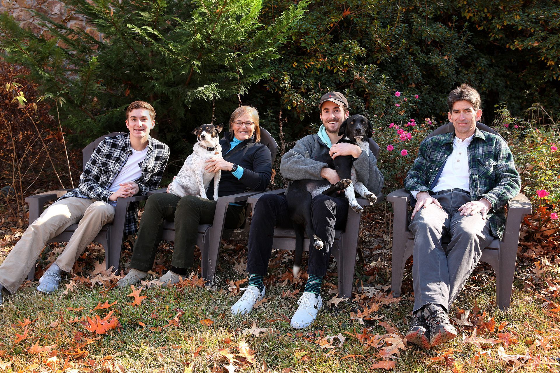 A group of people are sitting in chairs with their dogs.