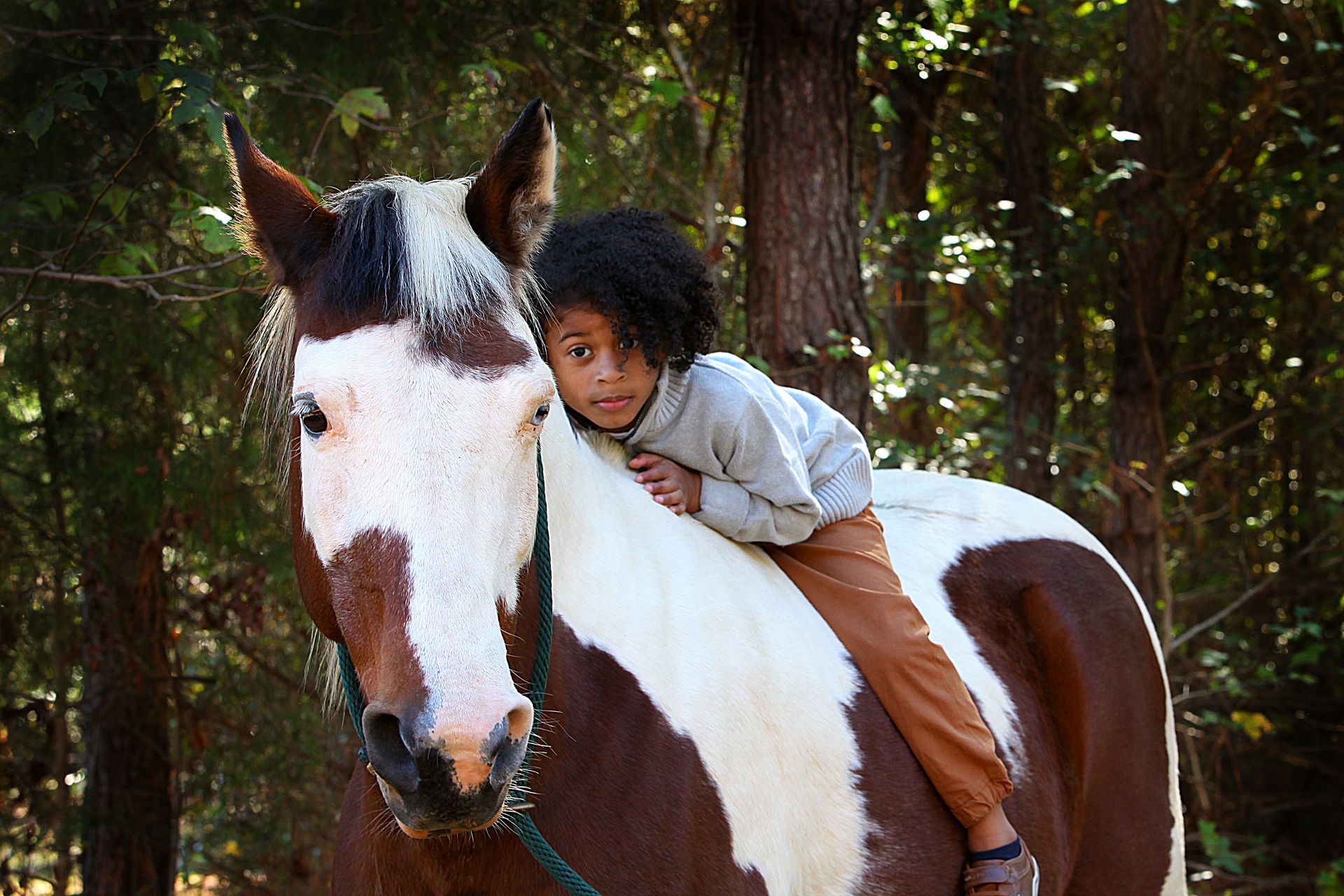 A little boy is riding on the back of a brown and white horse.