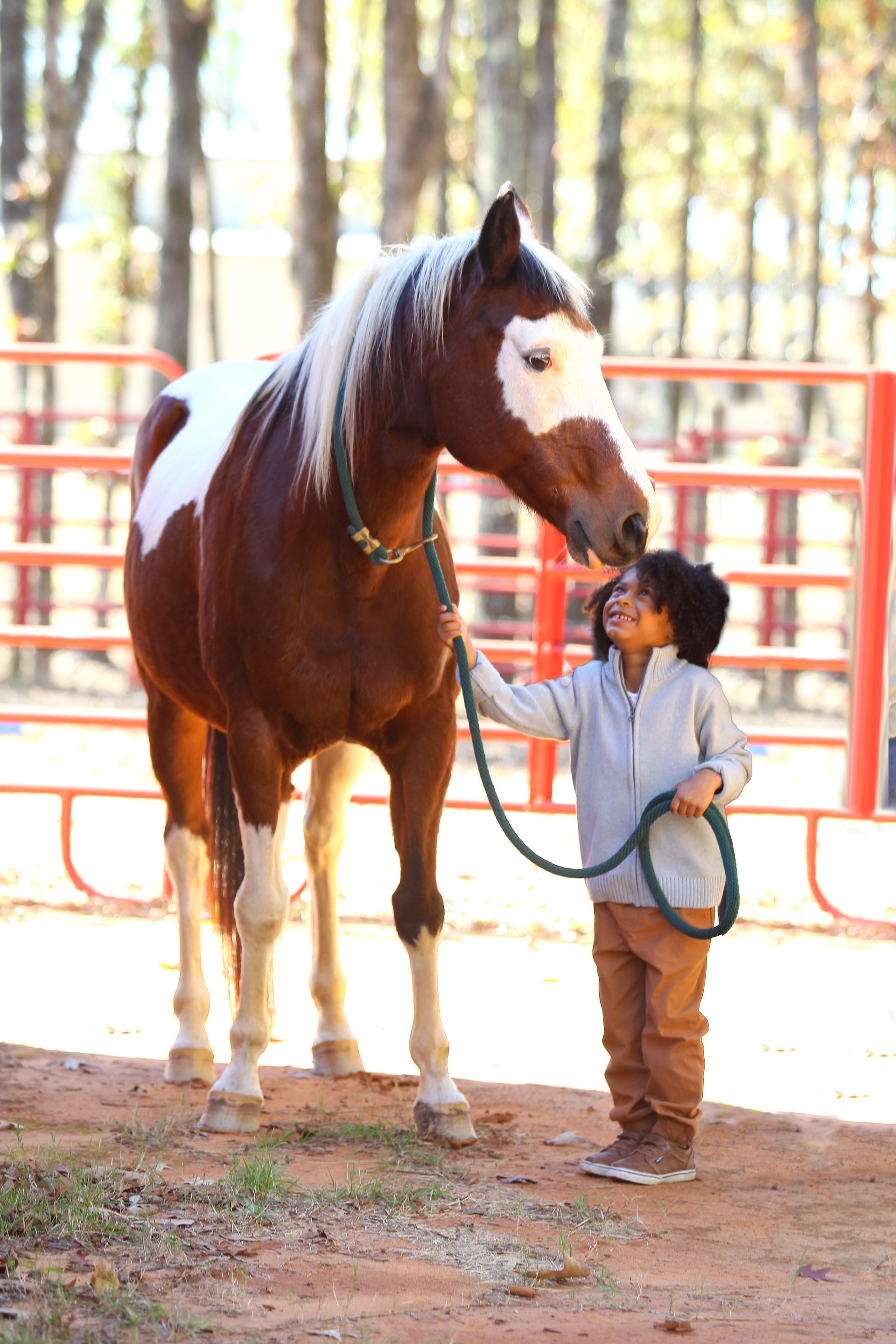 A little boy is petting a brown and white horse.
