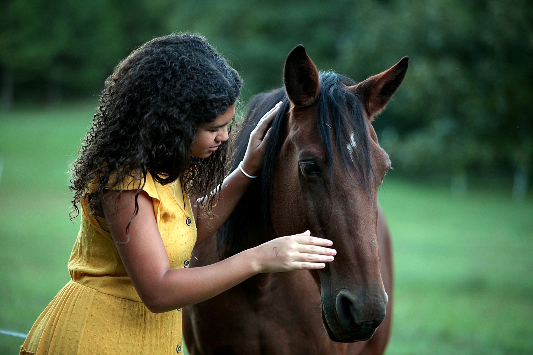 A woman in a yellow dress is petting a brown horse in a field.