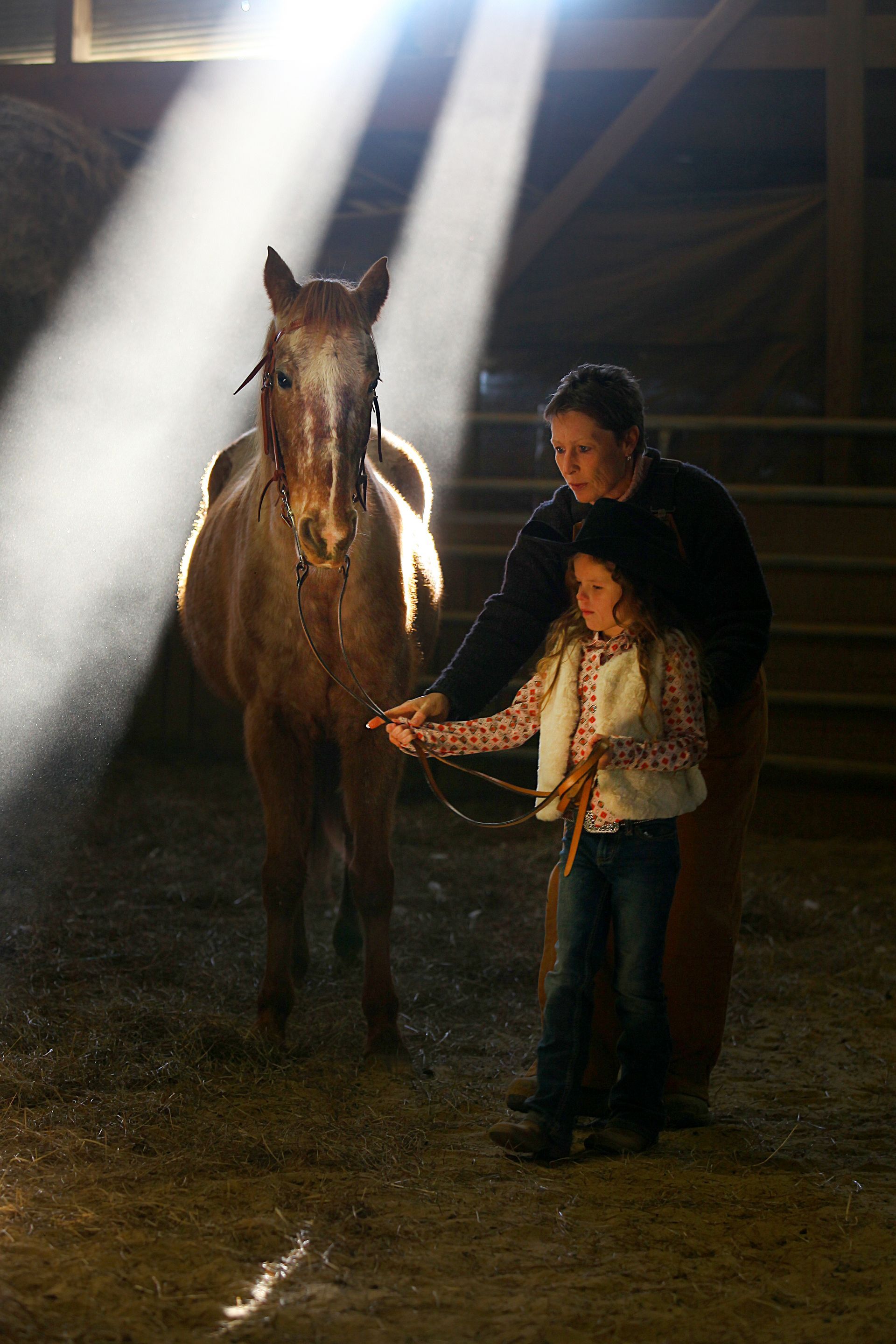 A woman and a little girl are standing next to a horse in a barn with sunbeams.