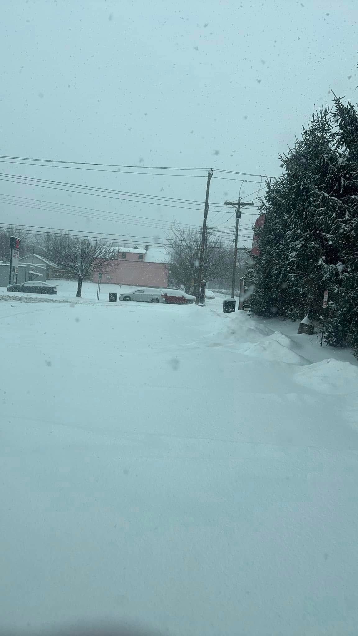 Snowy landscape with houses and power lines in the background. Snow falling.
