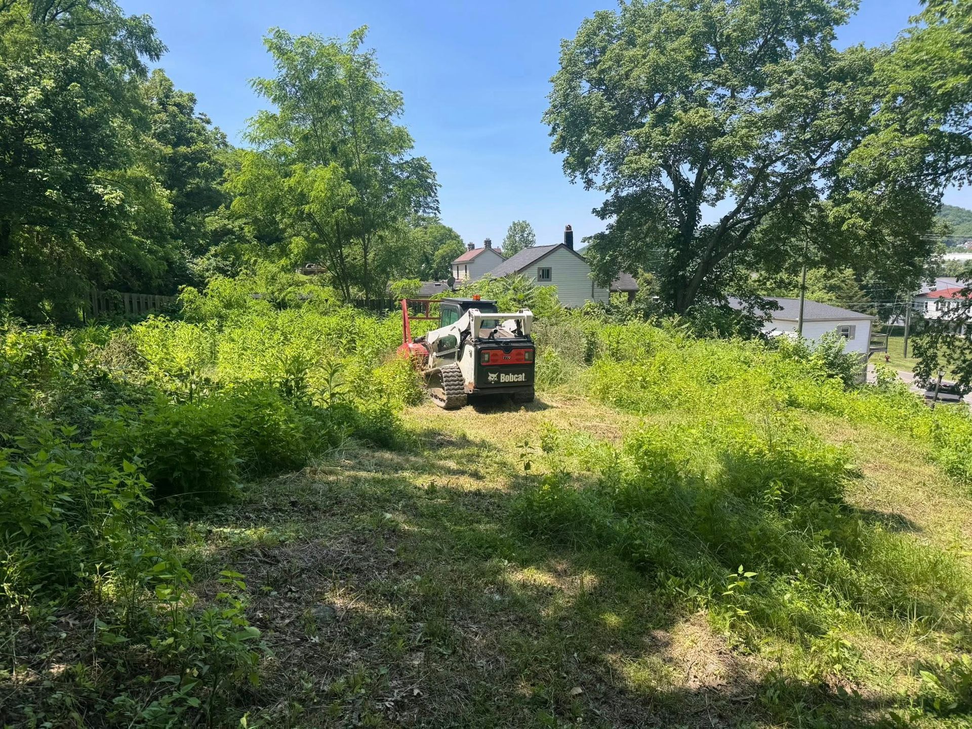 A small Bobcat clearing brush on a sunny hillside with trees and houses in the background.