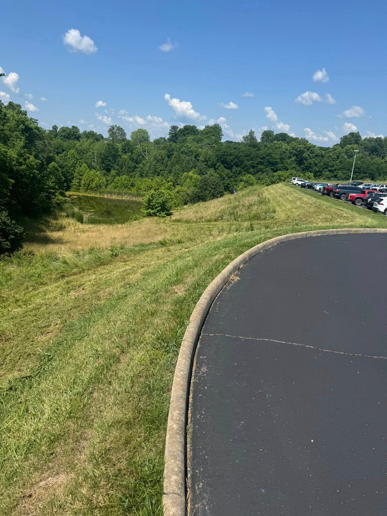 Green grass and trees surround a small pond, with a curved asphalt road and parked cars.