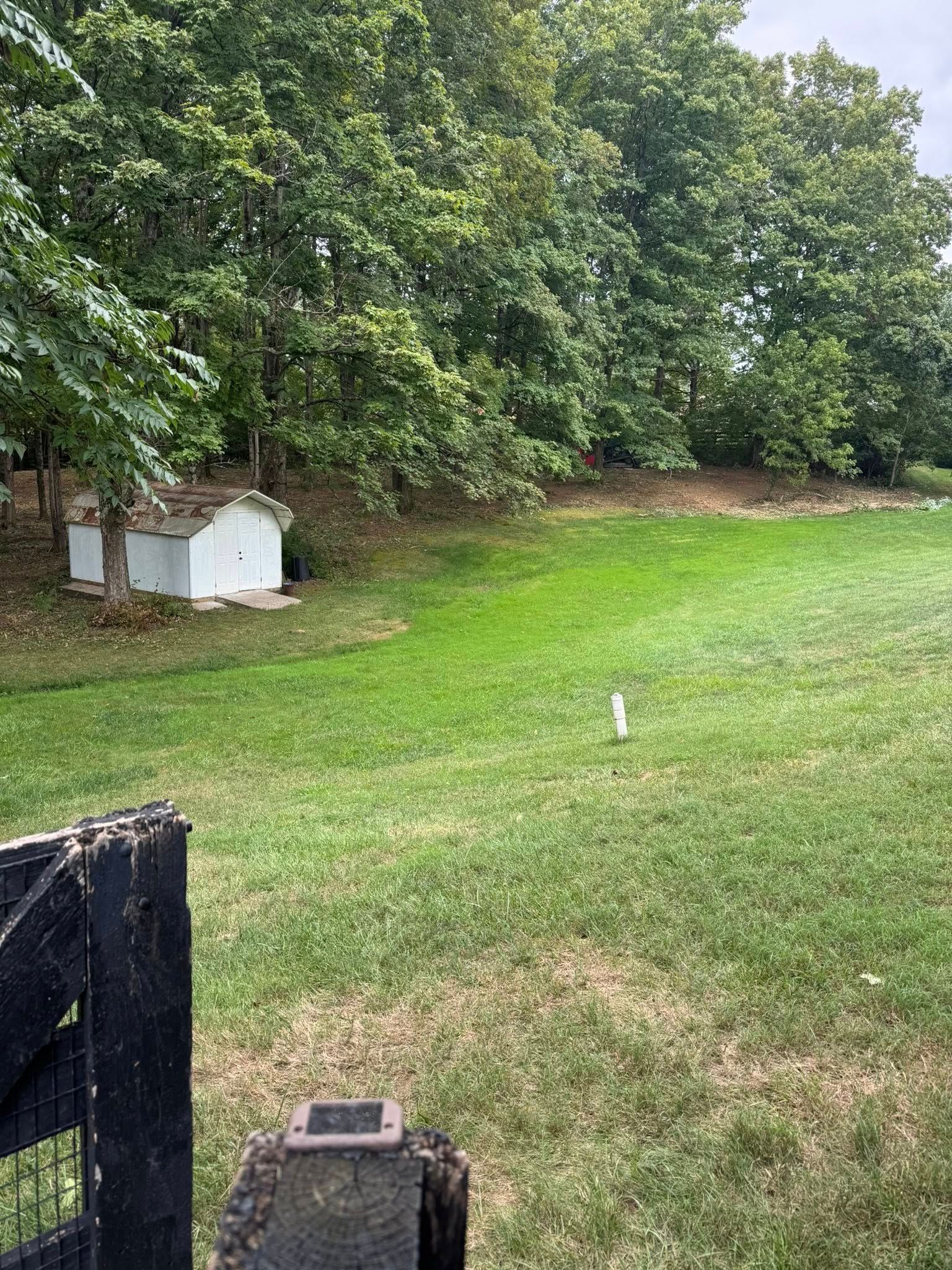 Grassy field with small white building, trees, and black gate in foreground.
