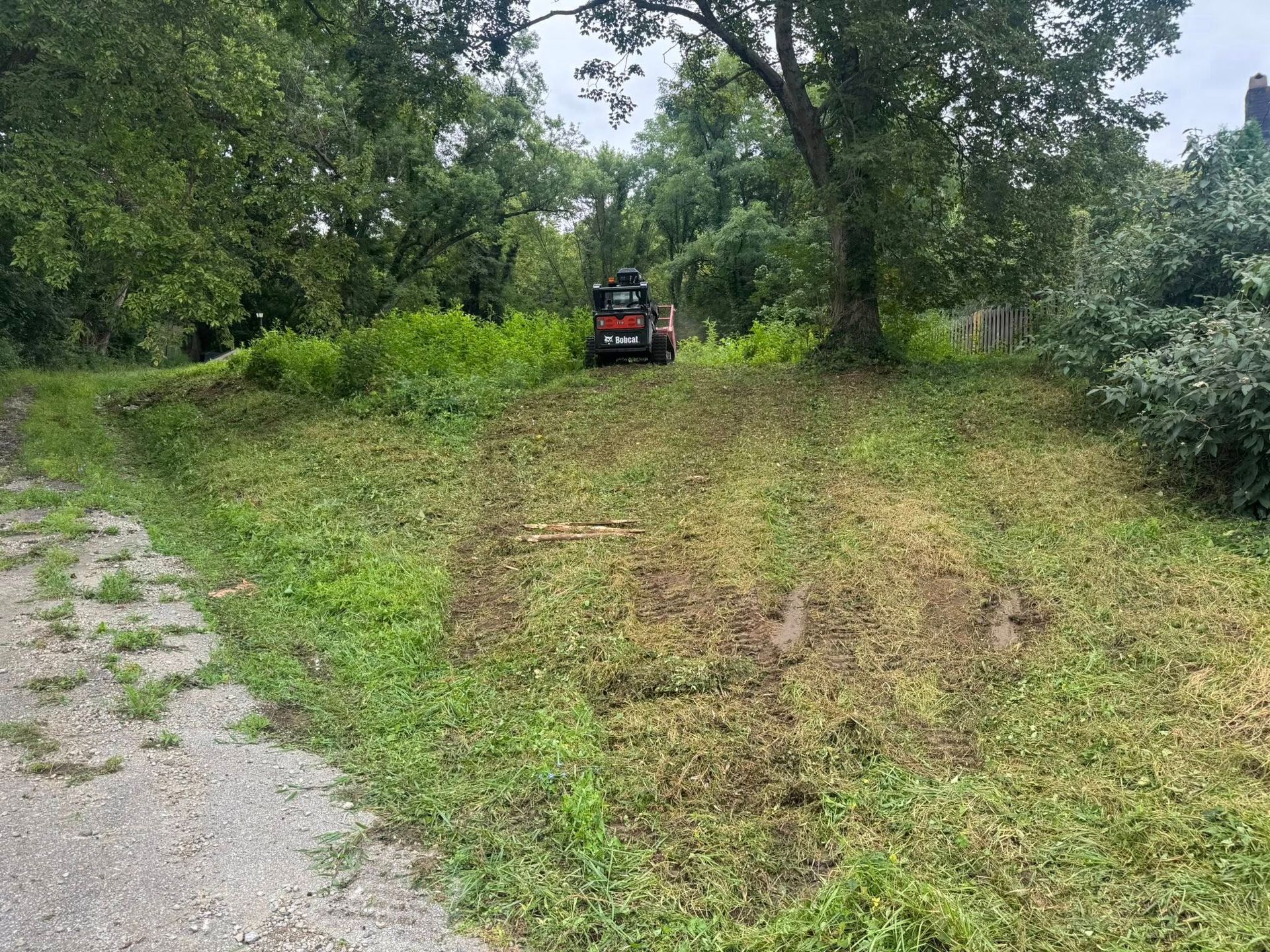 A small tractor mowing a grassy area next to a gravel path and trees. Overcast sky.