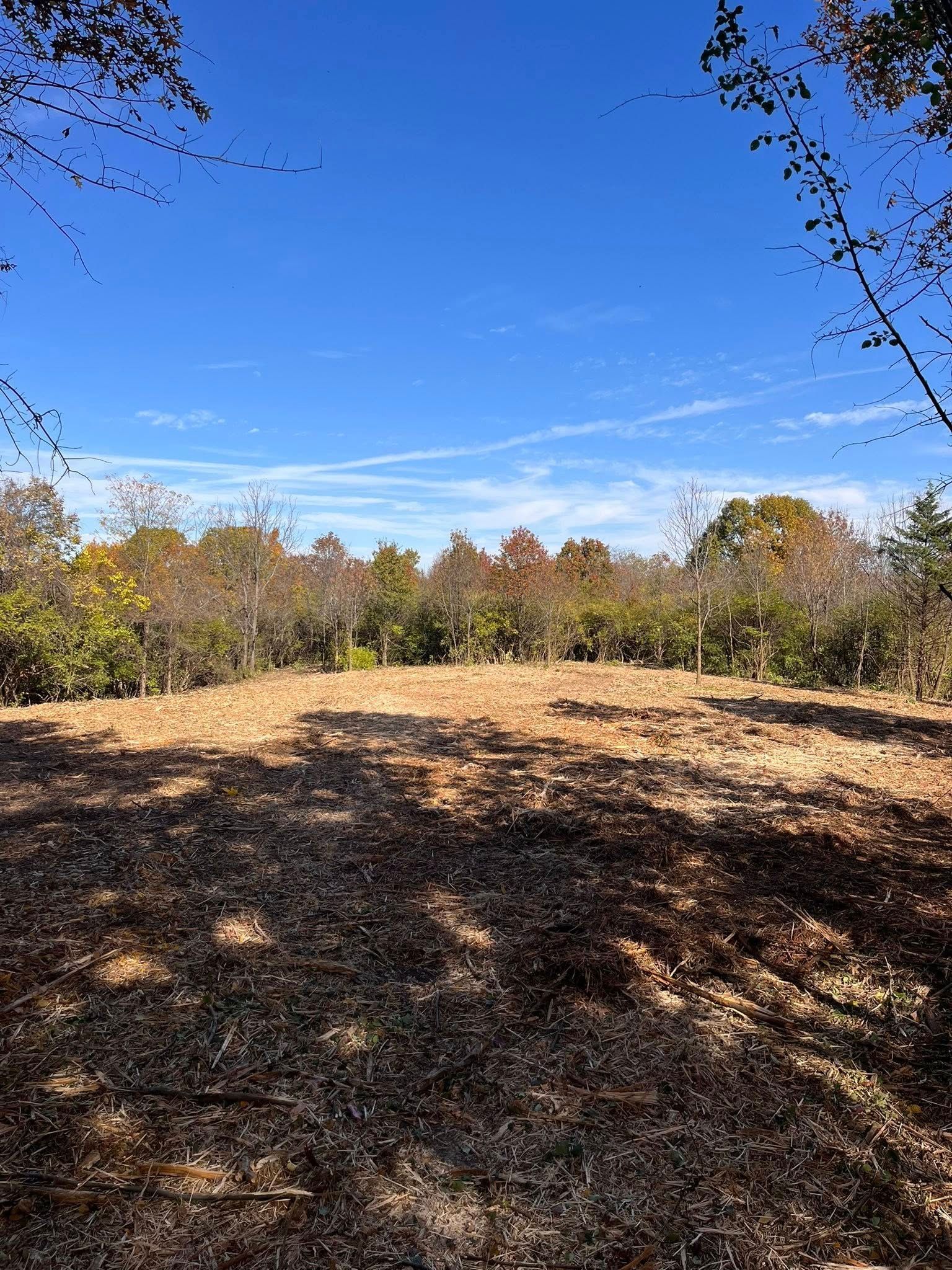 Open field with brown ground and trees under a blue sky, framing a view.