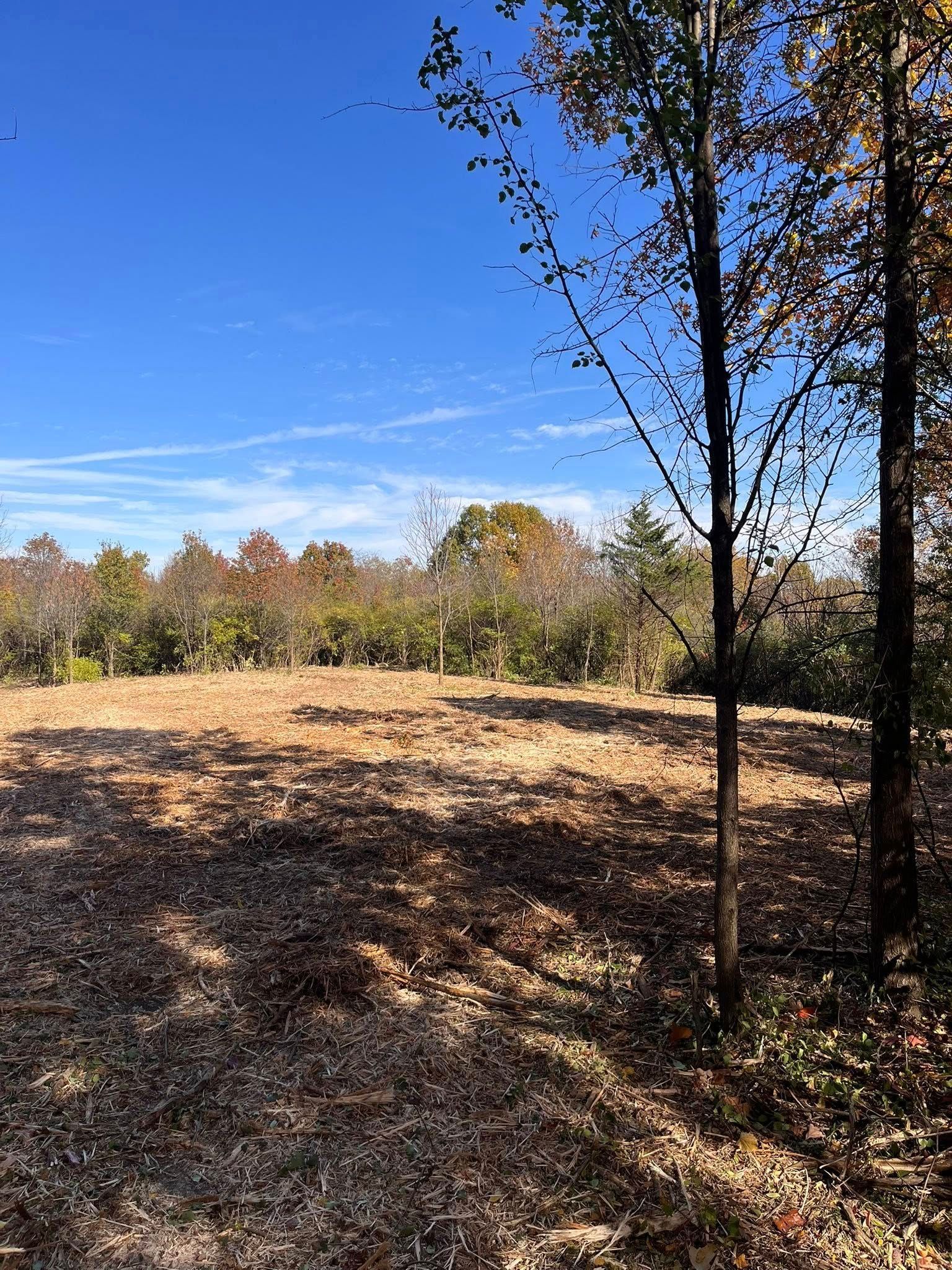 Open field with autumn foliage, trees in foreground, blue sky.