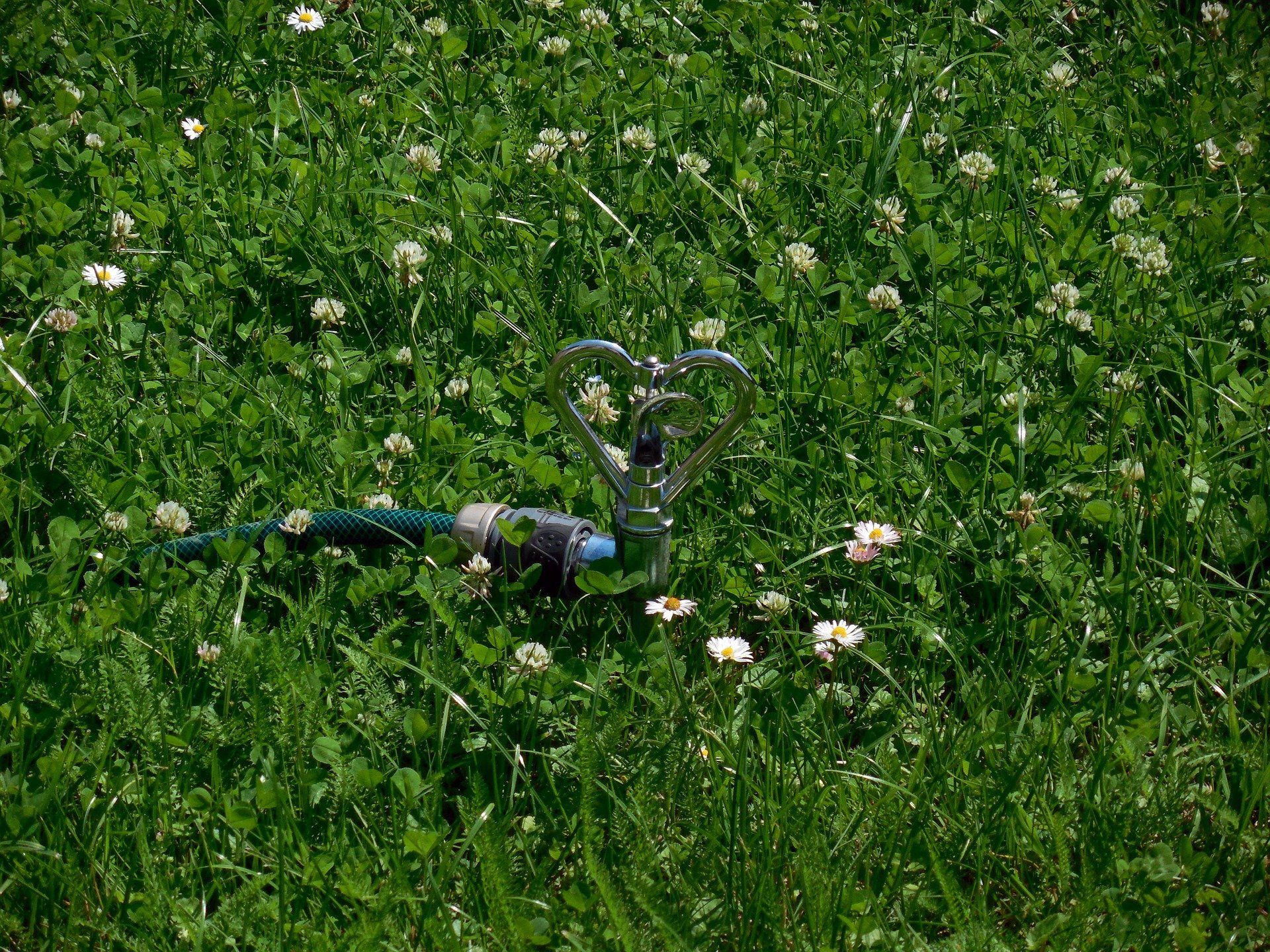 irrigation laurentides