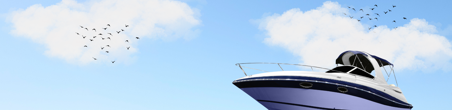 Boat on water with birds in the sky.