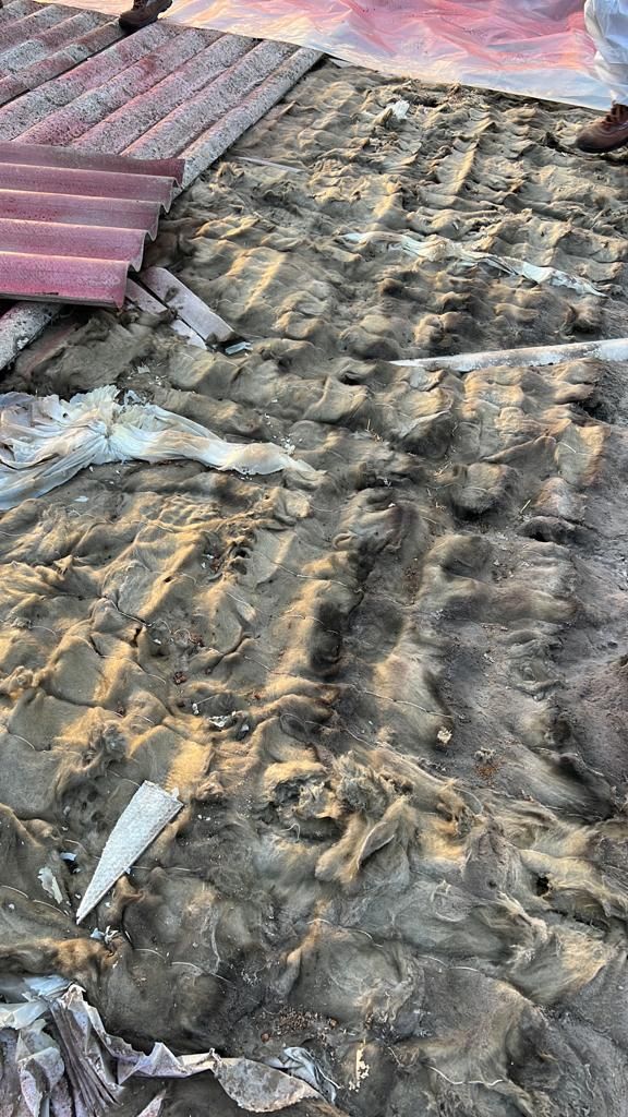 Un primo piano di un terreno fangoso con un tetto sullo sfondo.