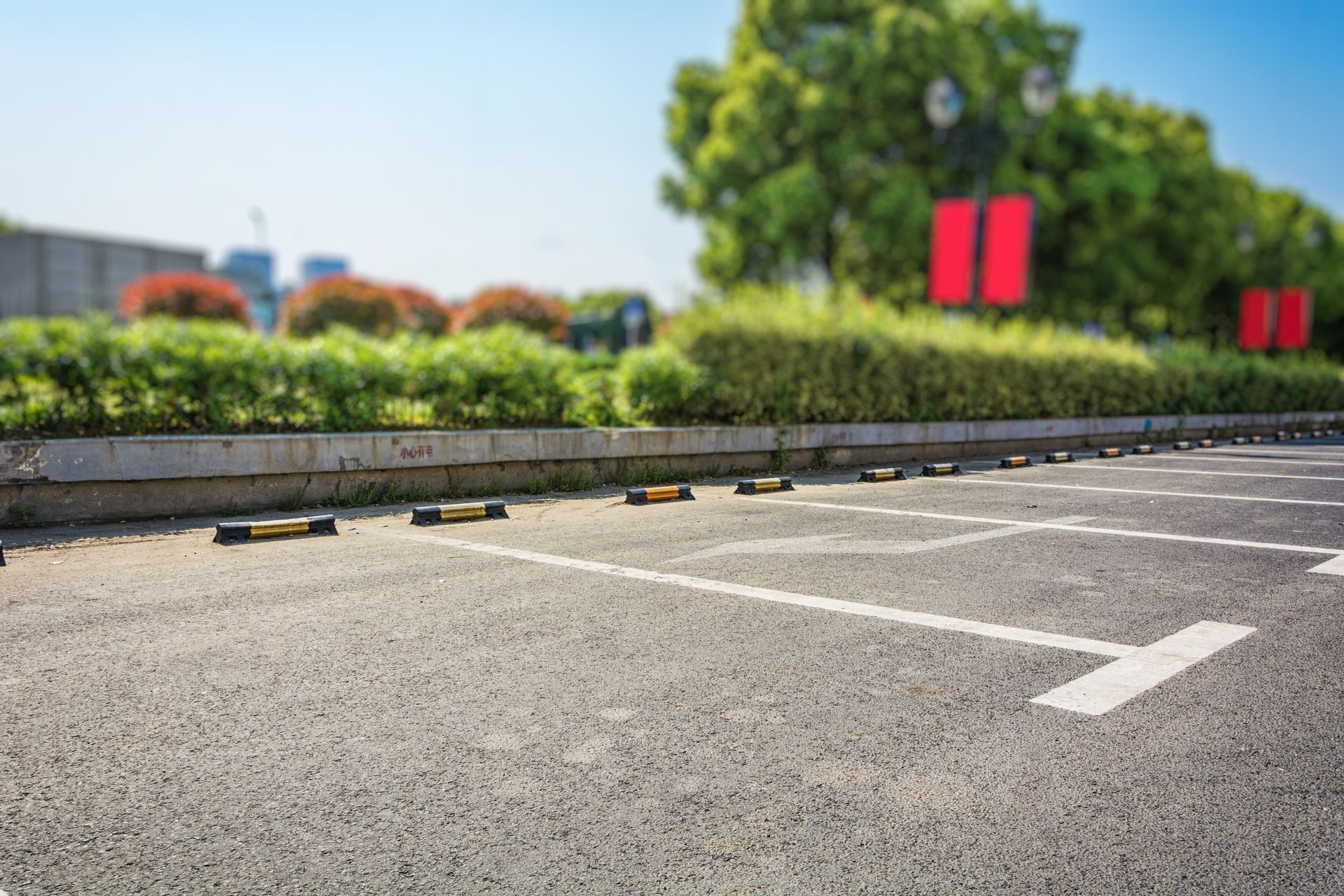 An outdoor parking lot with marked asphalt spaces and yellow wheel stops, bordered by a curb and green hedge.
