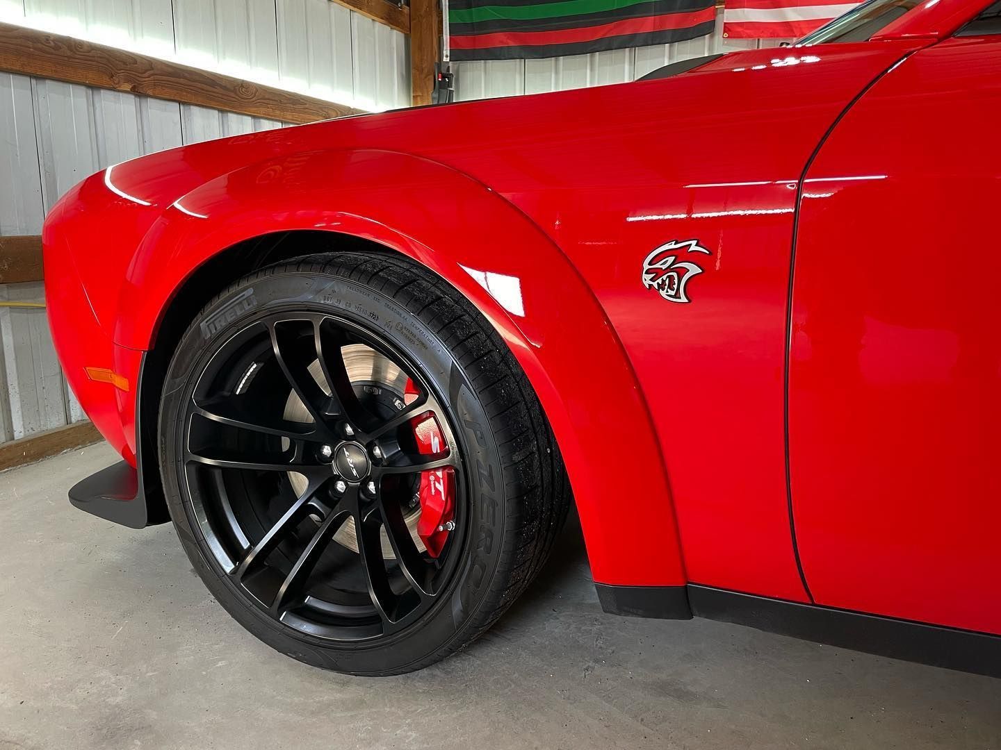 one+step+polish+and+coated