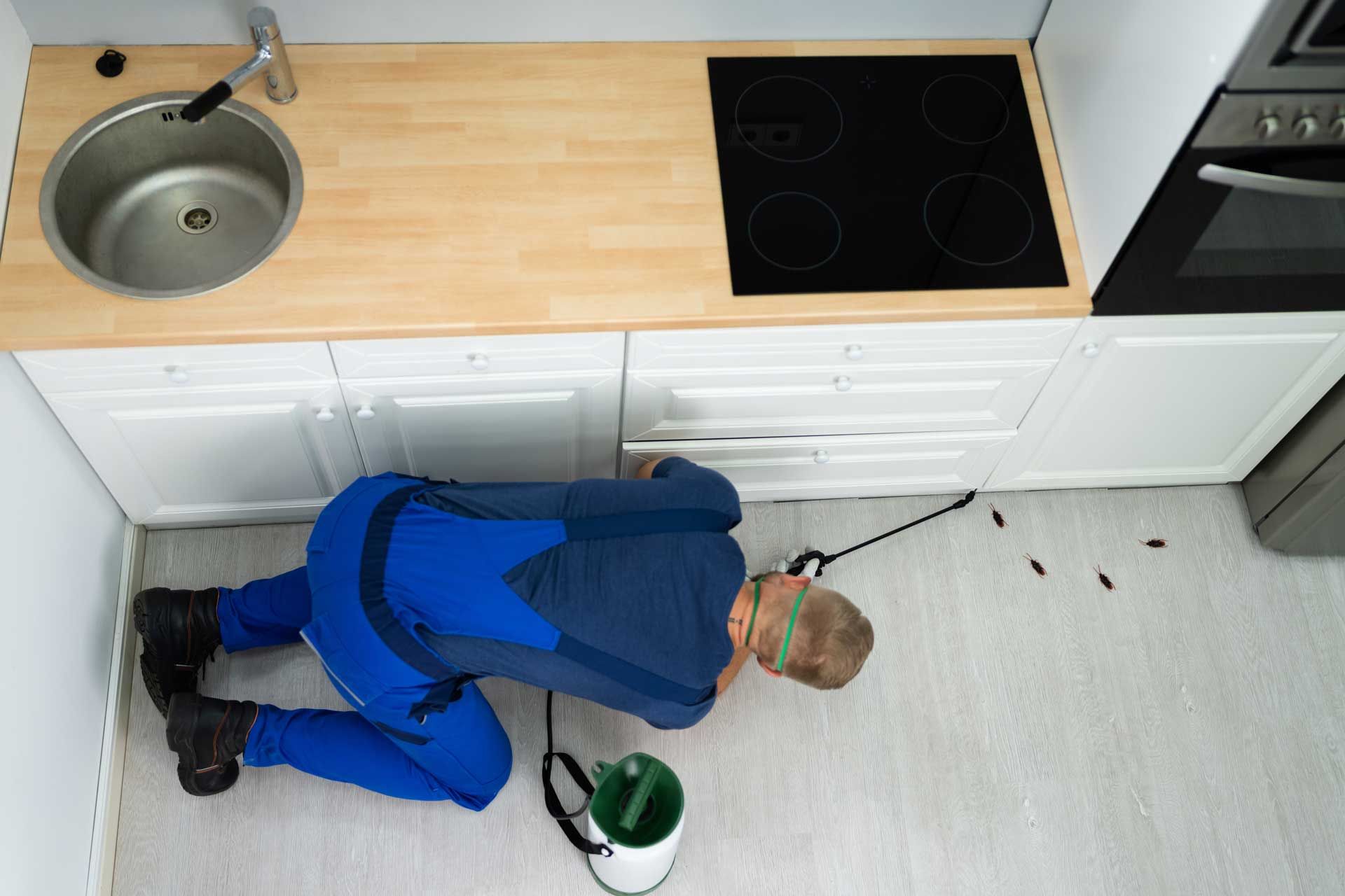 Pest control technician spraying insecticide in a kitchen.