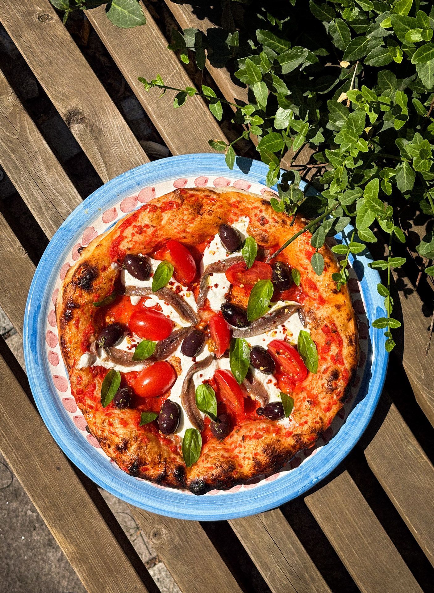 Pizza with tomatoes, olives, anchovies, and basil on a blue plate, outside on a wooden surface.