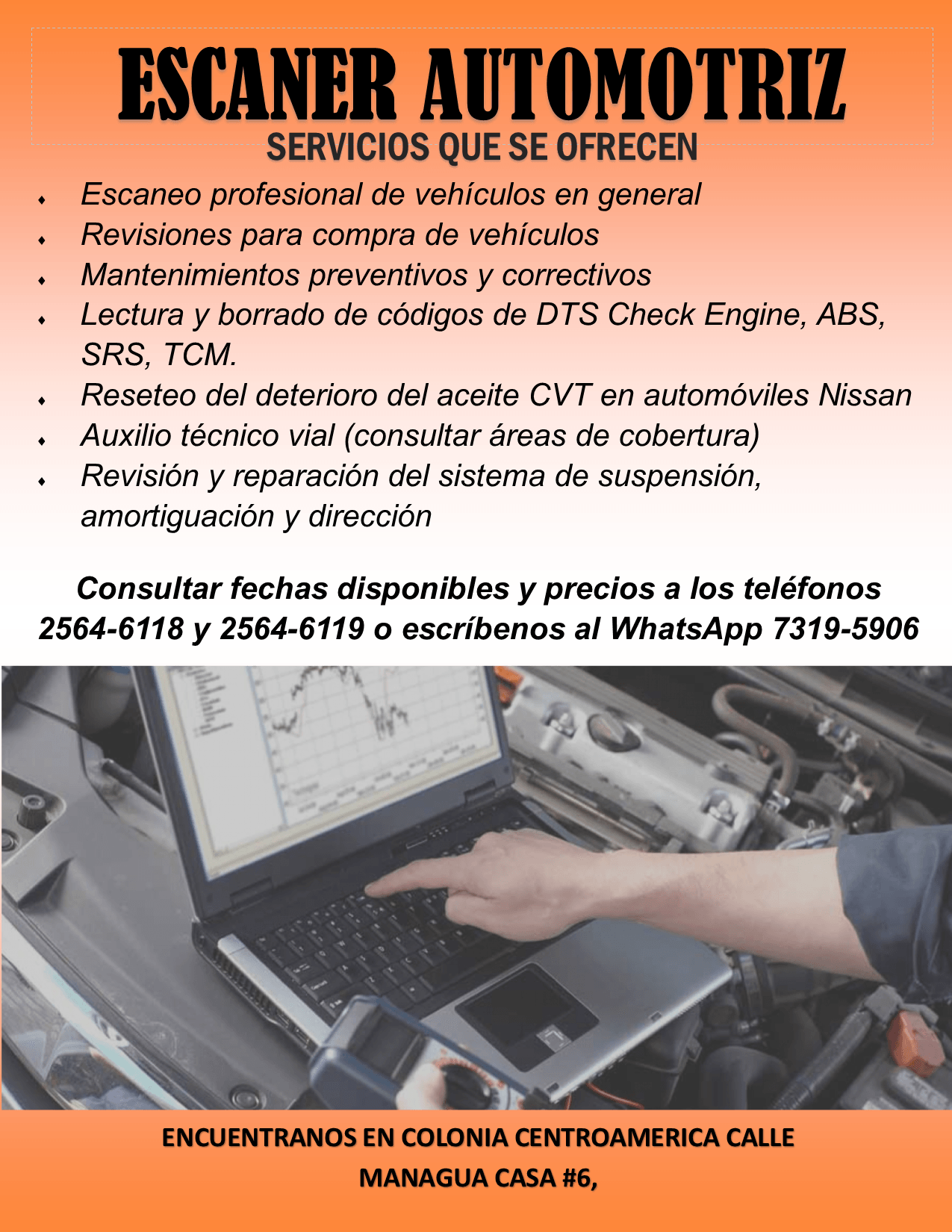 NUEVO SERVICIO
