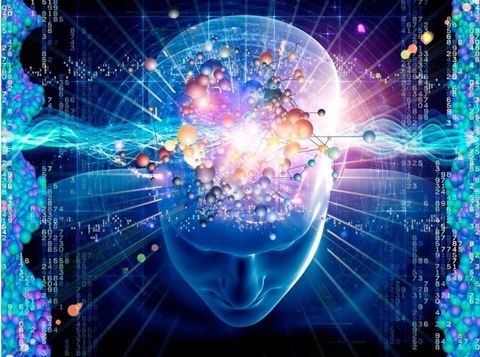 Mind Development