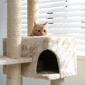 Orange cat peeking from a beige cat tree by a bright window