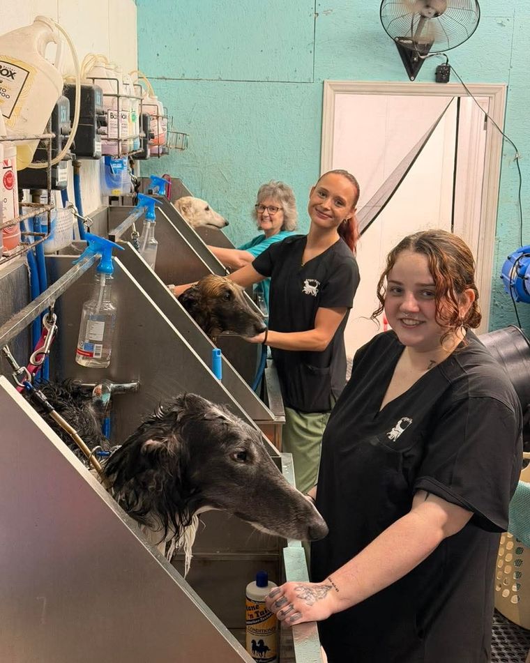 Three women wash dogs in a teal grooming room, smiling beside metal tubs.
