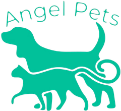 Teal “Angel Pets” logo with two pet silhouettes, a dog above a cat, on a white background