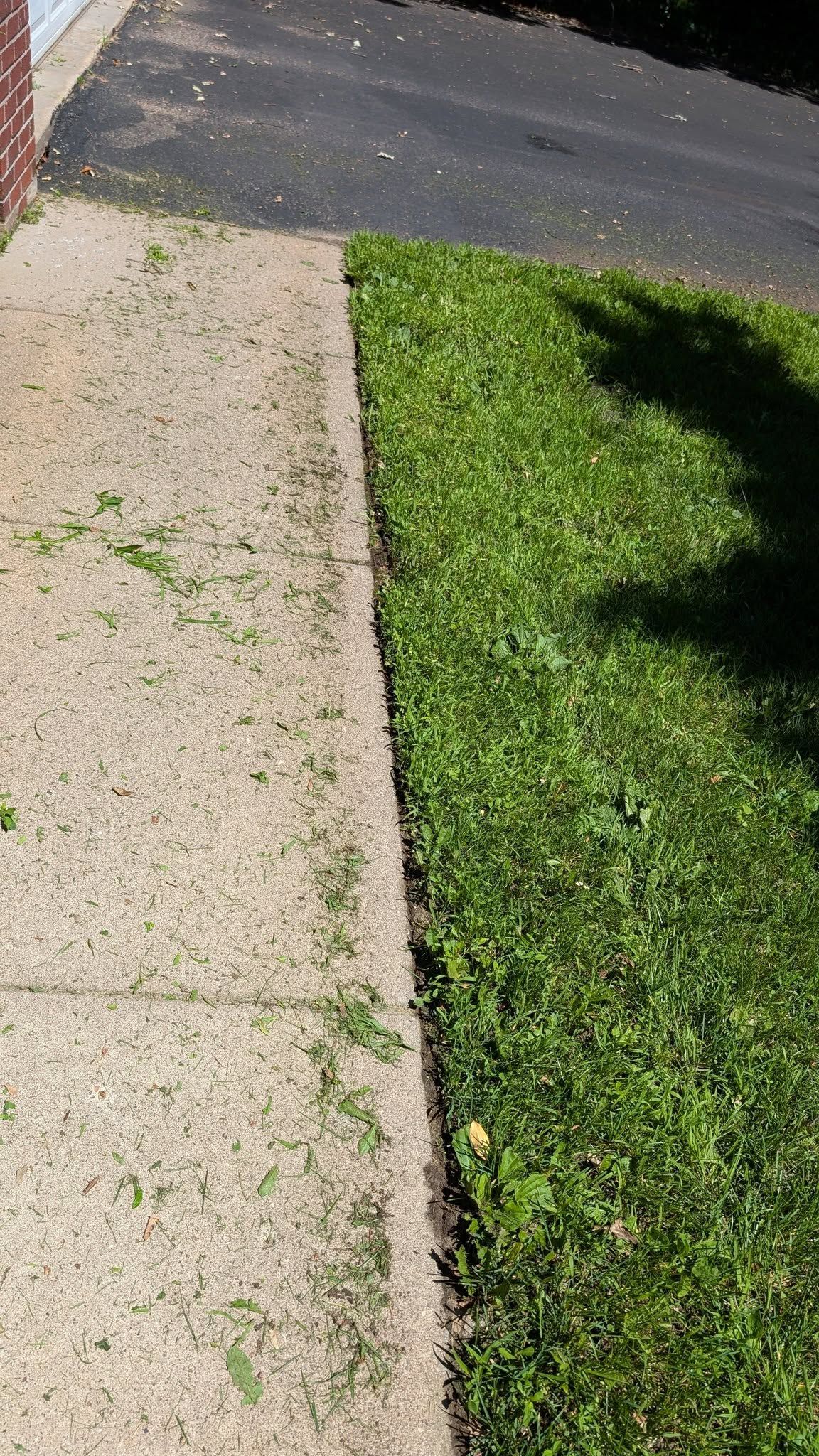Concrete sidewalk next to green grass and a dark asphalt driveway.