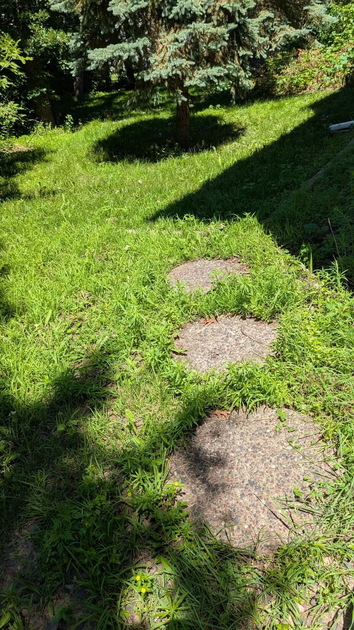Stepping stones on a grassy path leading towards shaded trees.