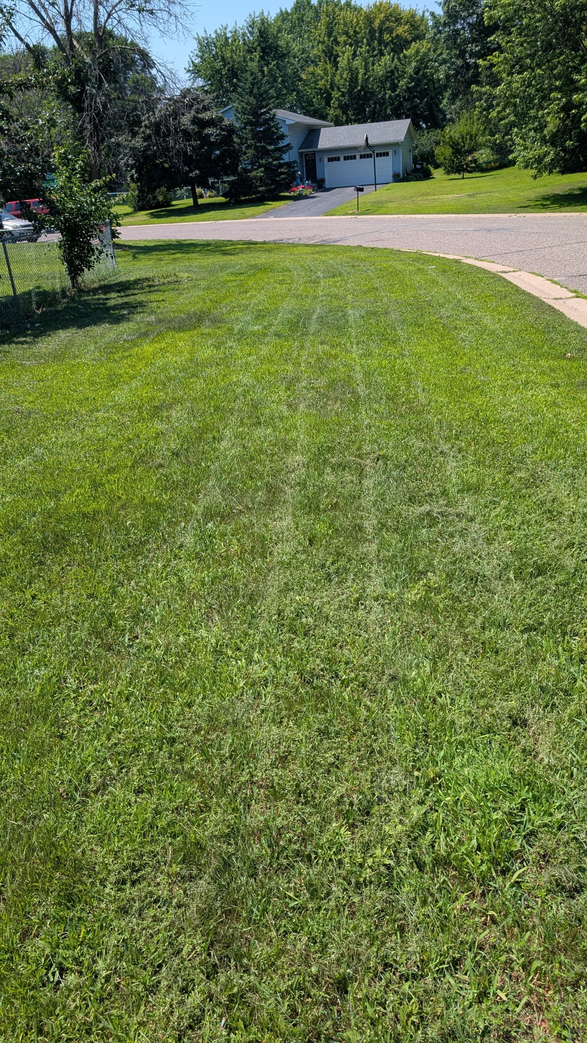 Green lawn with visible mower tracks, driveway, and a house in the background.