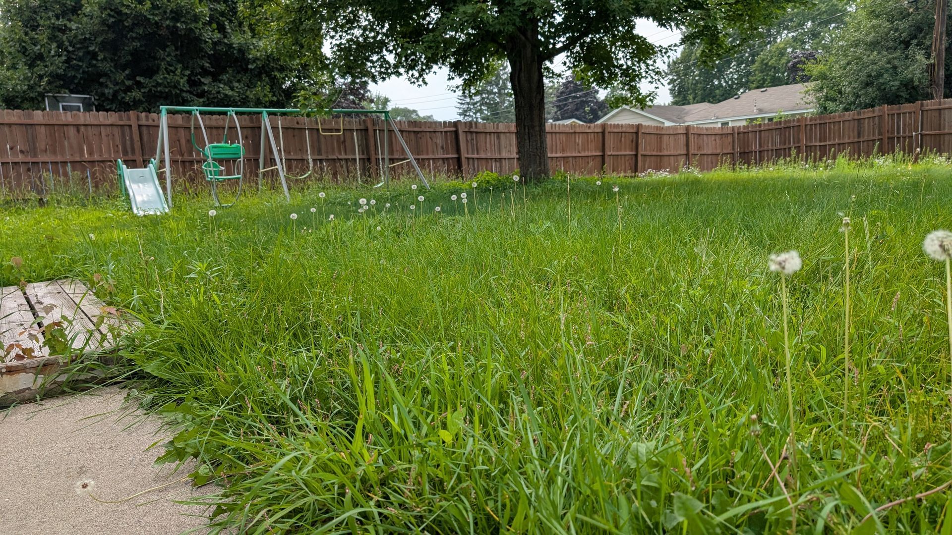 Overgrown backyard with swing set, dandelions, and a brown fence.