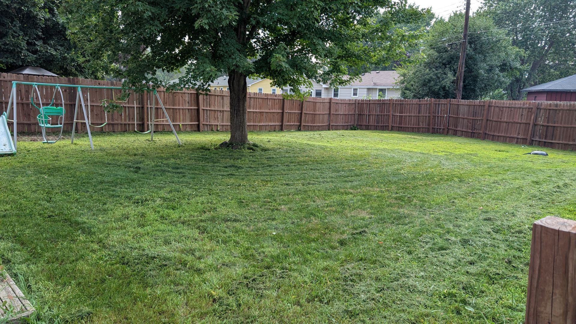 A backyard with a wooden fence, swing set, and a tree surrounded by overgrown grass.
