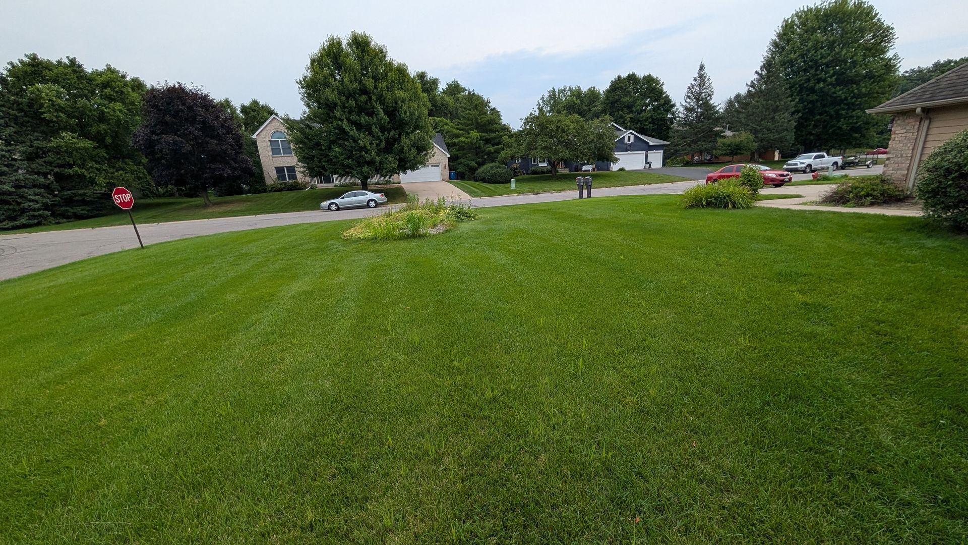 Green lawn with houses and cars on a residential street; trees line the side.