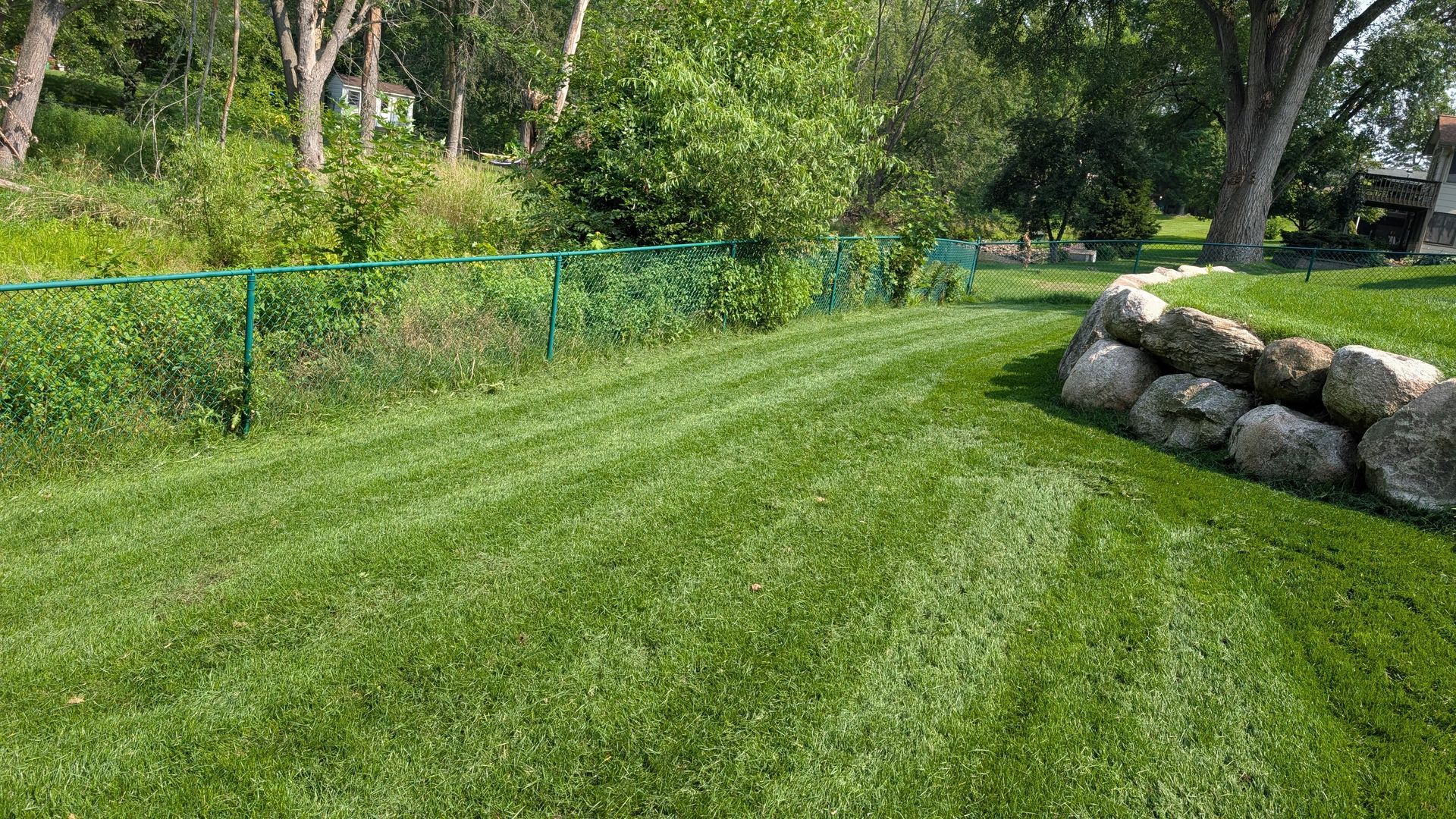Green lawn with mowing stripes, fence, and stone wall in a yard with trees.