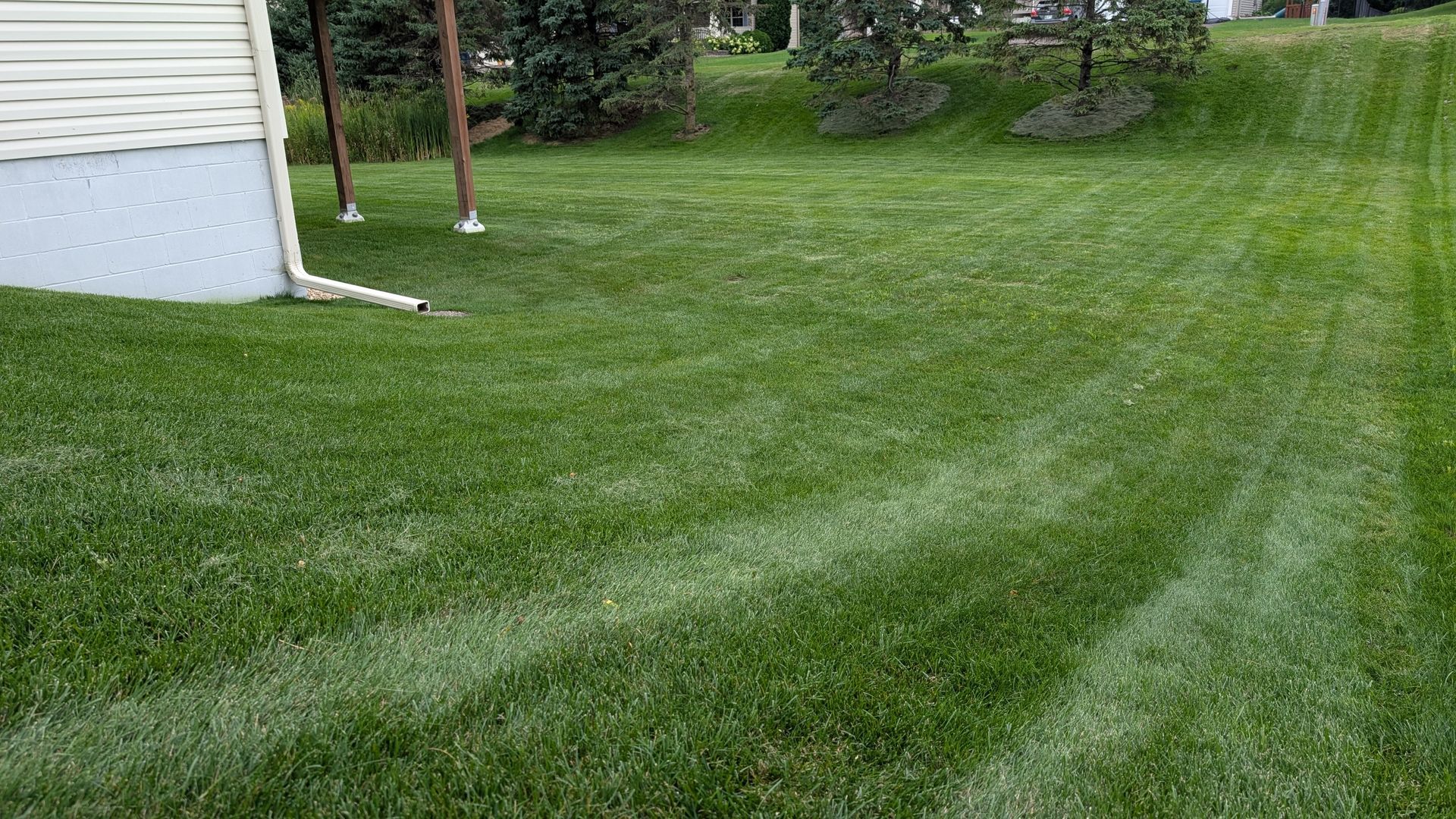 Lush green lawn with distinct mowing stripes; beside a house with a white exterior.