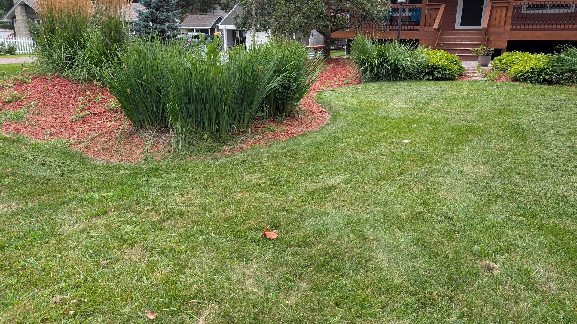 Lawn and garden bed with tall green grasses and red mulch near a house.