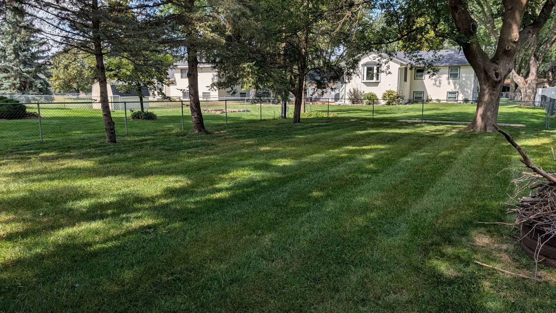 Green grassy lawn with trees, shadows, and houses in the background.