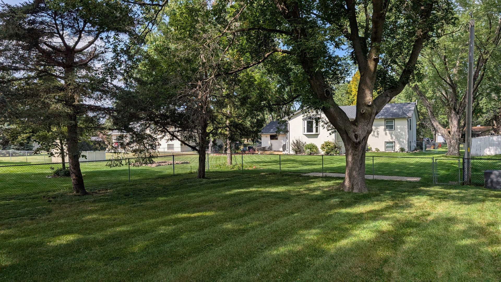 Grassy yard with several trees in front of white houses under a clear sky.
