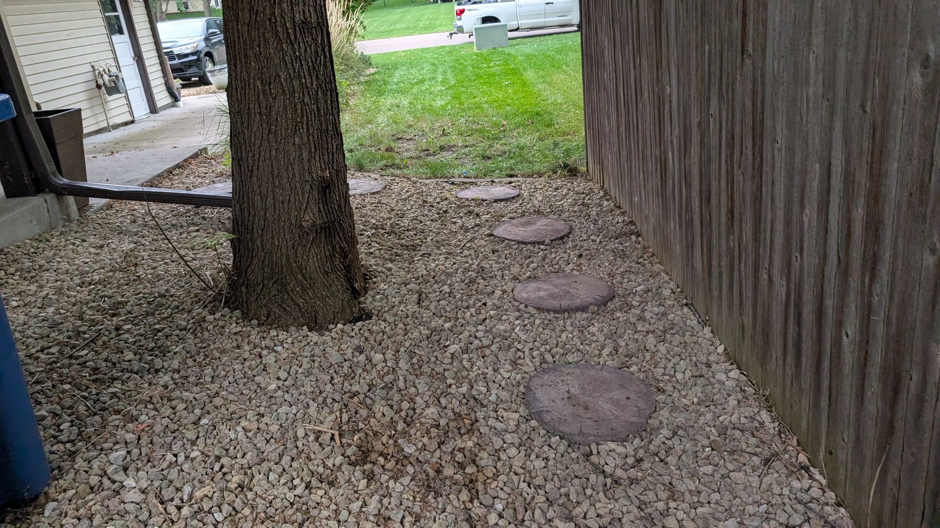 Tree trunk with stone path and gravel near a wooden fence.