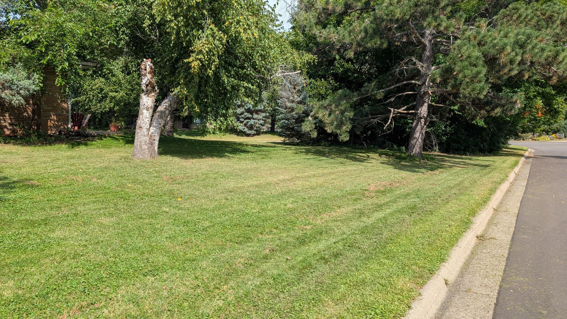 Green lawn bordered by a sidewalk, with trees and sunlight.
