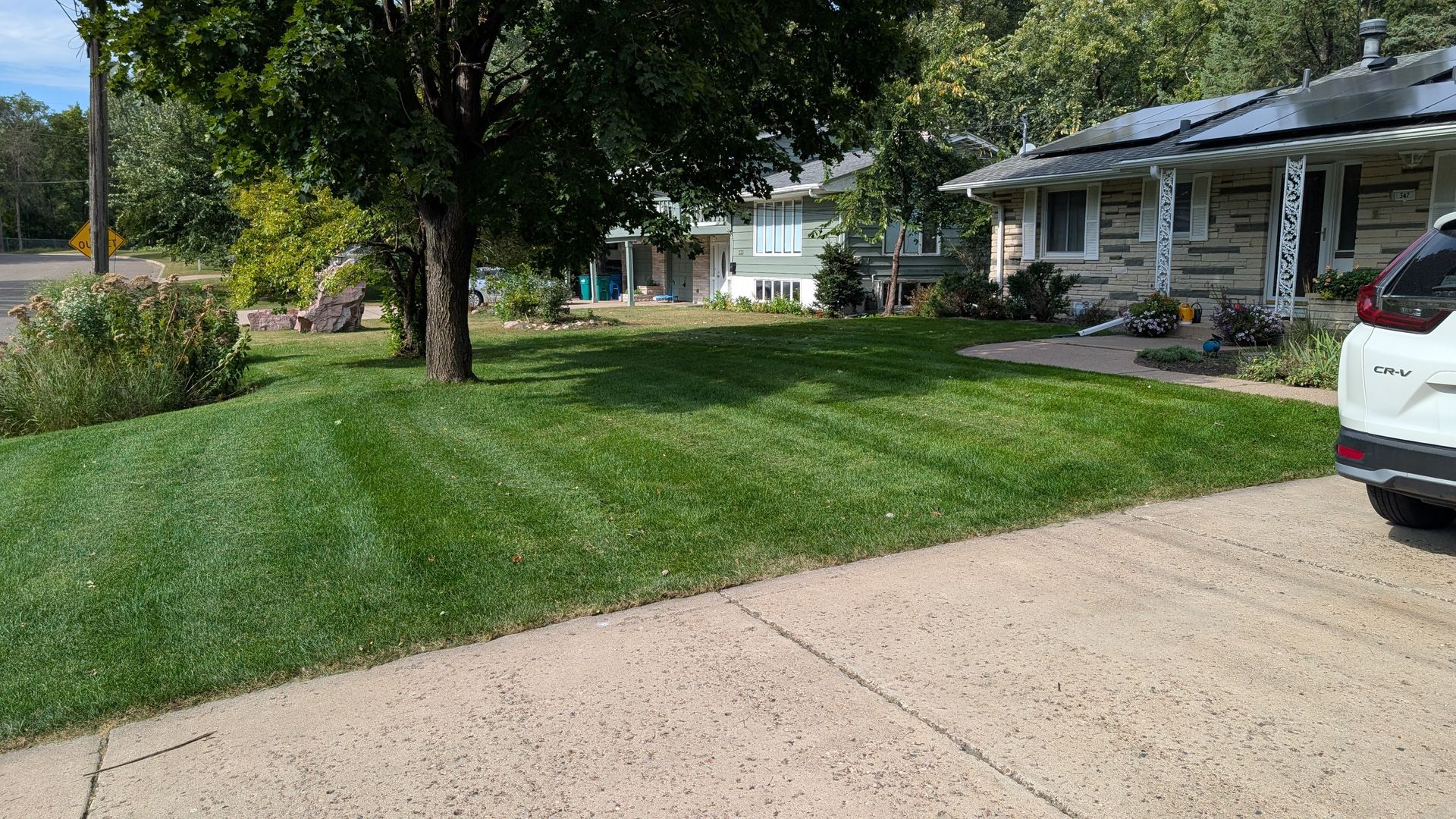 Green lawn with freshly cut stripes in front of a house, tree, and driveway.