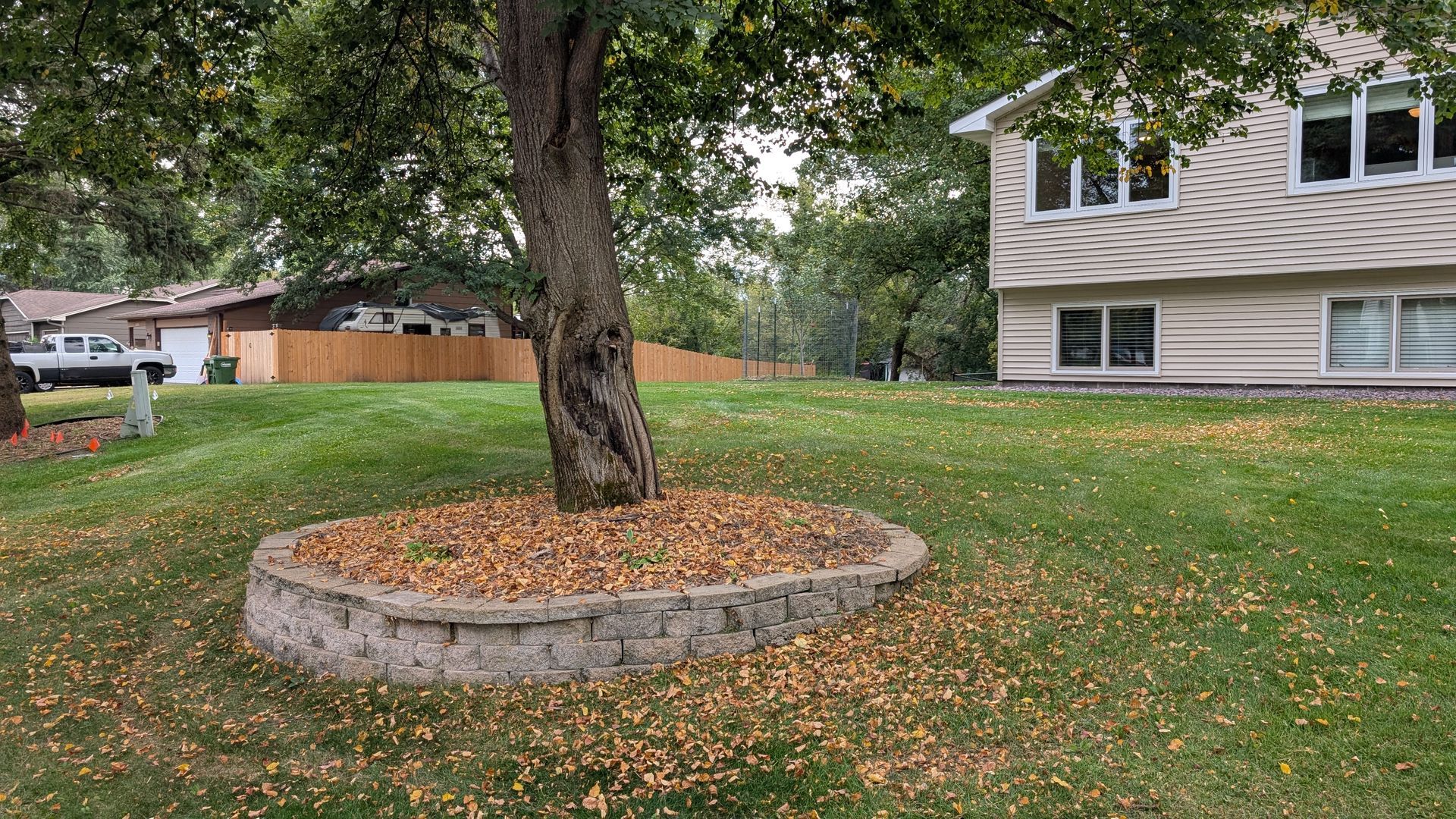 Tree with a stone-edged bed, surrounded by fallen leaves, in front of a house on a grassy lawn.