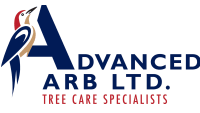 Advanced Arb Ltd logo