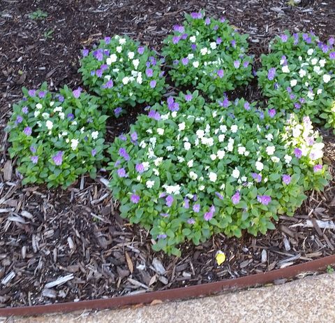 Landscape Design with Plants and Flowers — Memphis, TN — Serene Scenes Lawn and Landscape